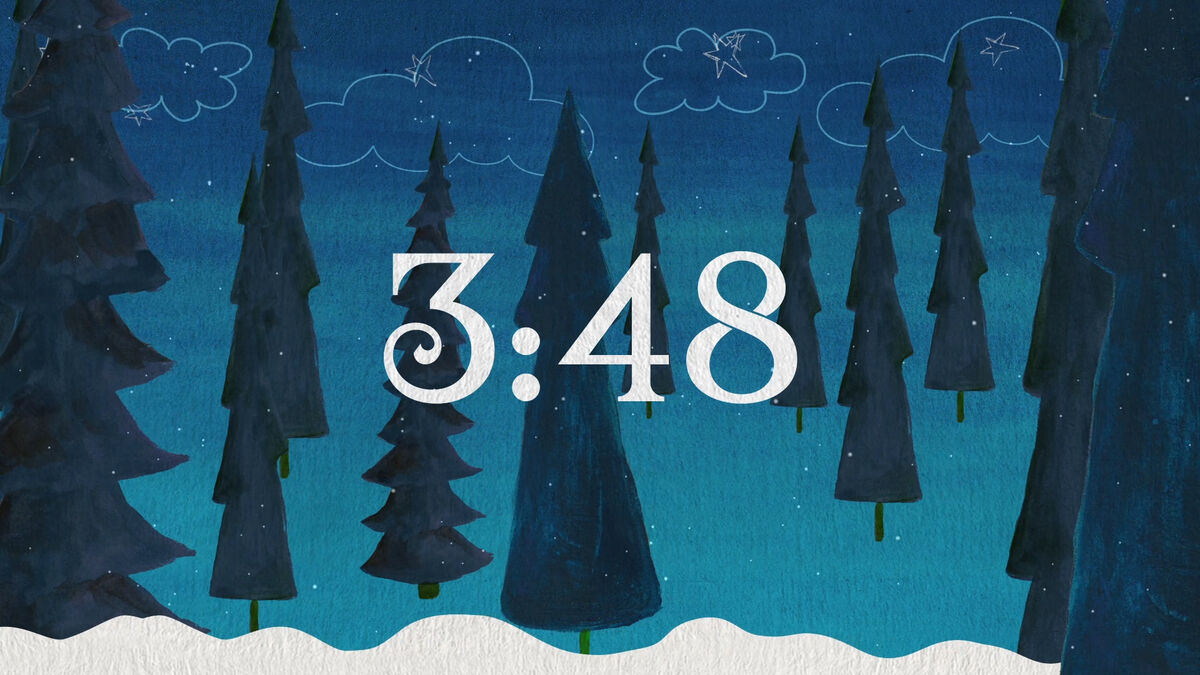 Winter Forest Countdown image number null